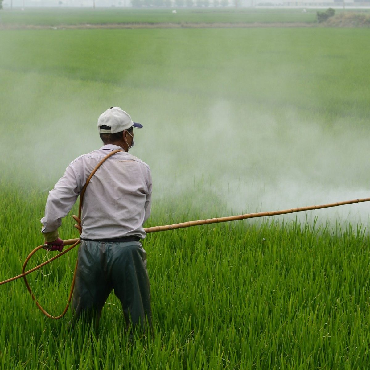 herbicide-g156638bde_1920